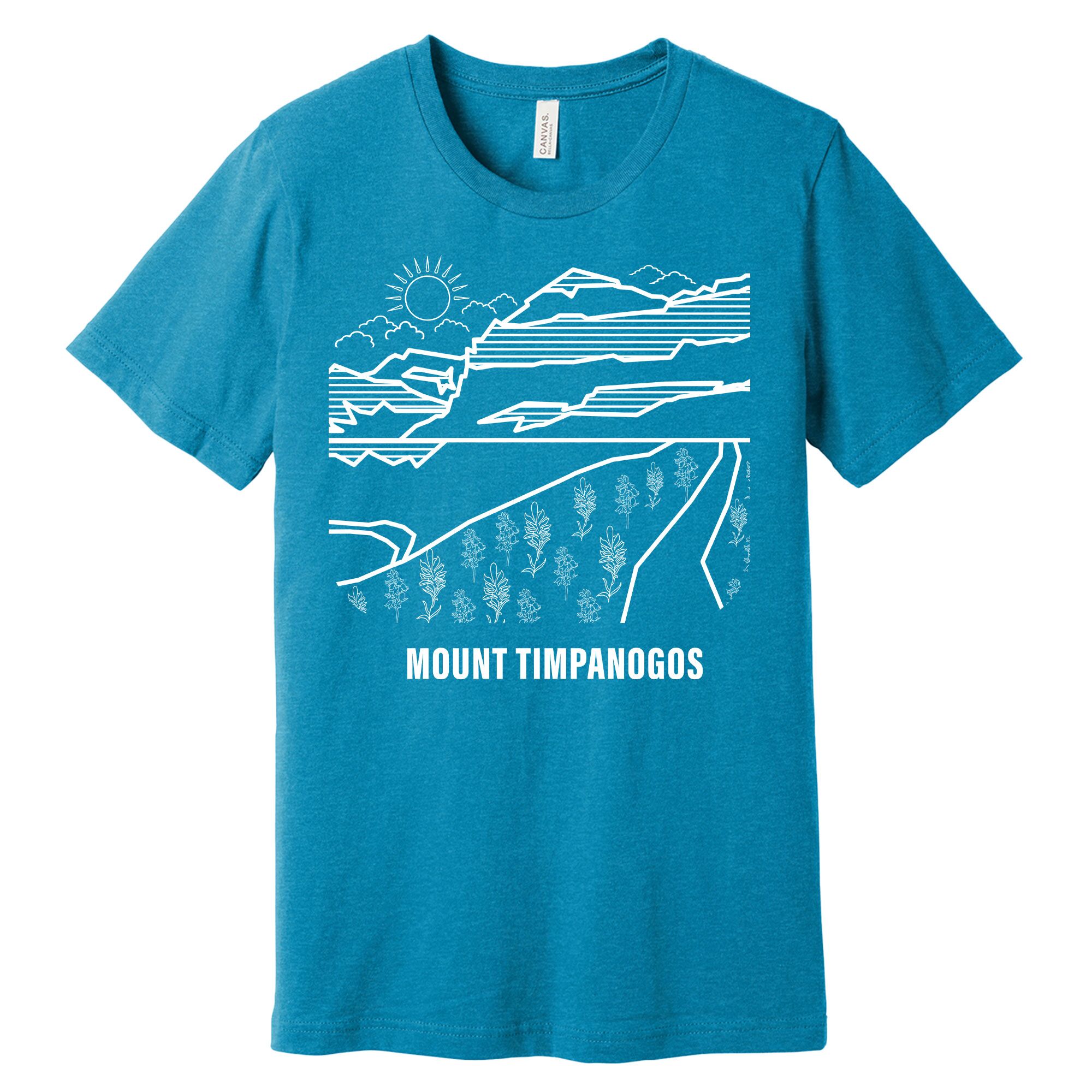 Mount Timpanogos T Shirt Aqua