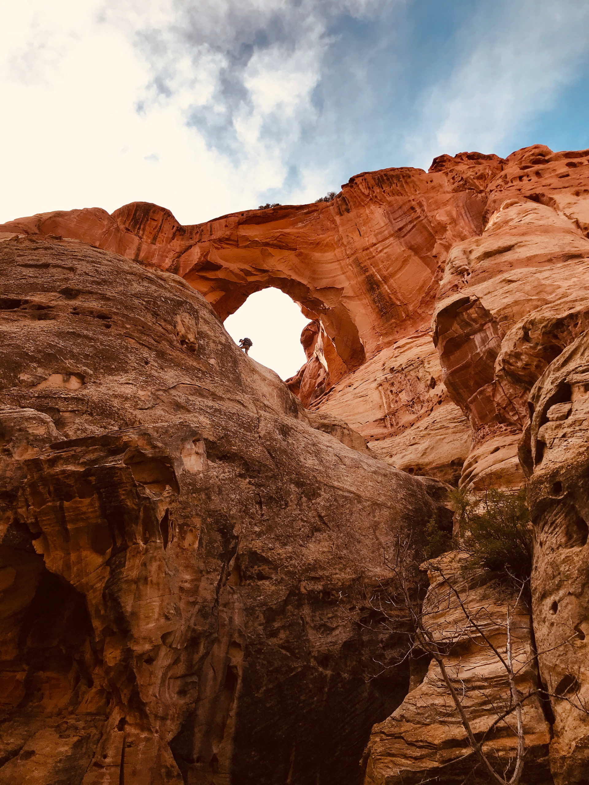 Capitol reef national outlet park slot canyons