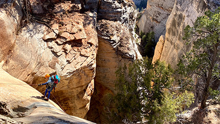 Telephone Canyon First Rappel