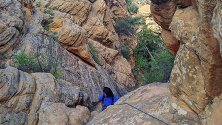 Rappelling in Boltergeist Canyon