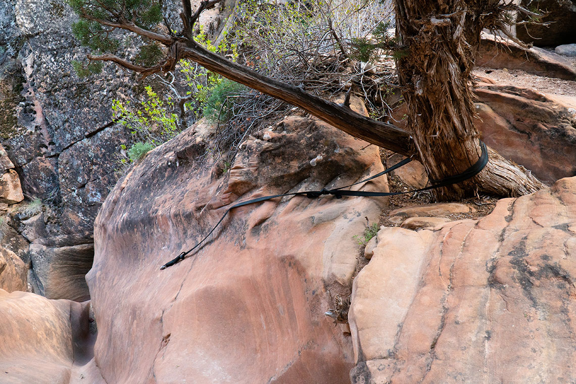 The anchor for rappel 3 in Boltergeist Canyon