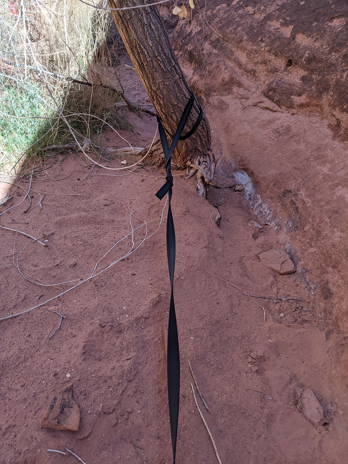 Rappel 4 anchor from a tree in Morocco Canyon