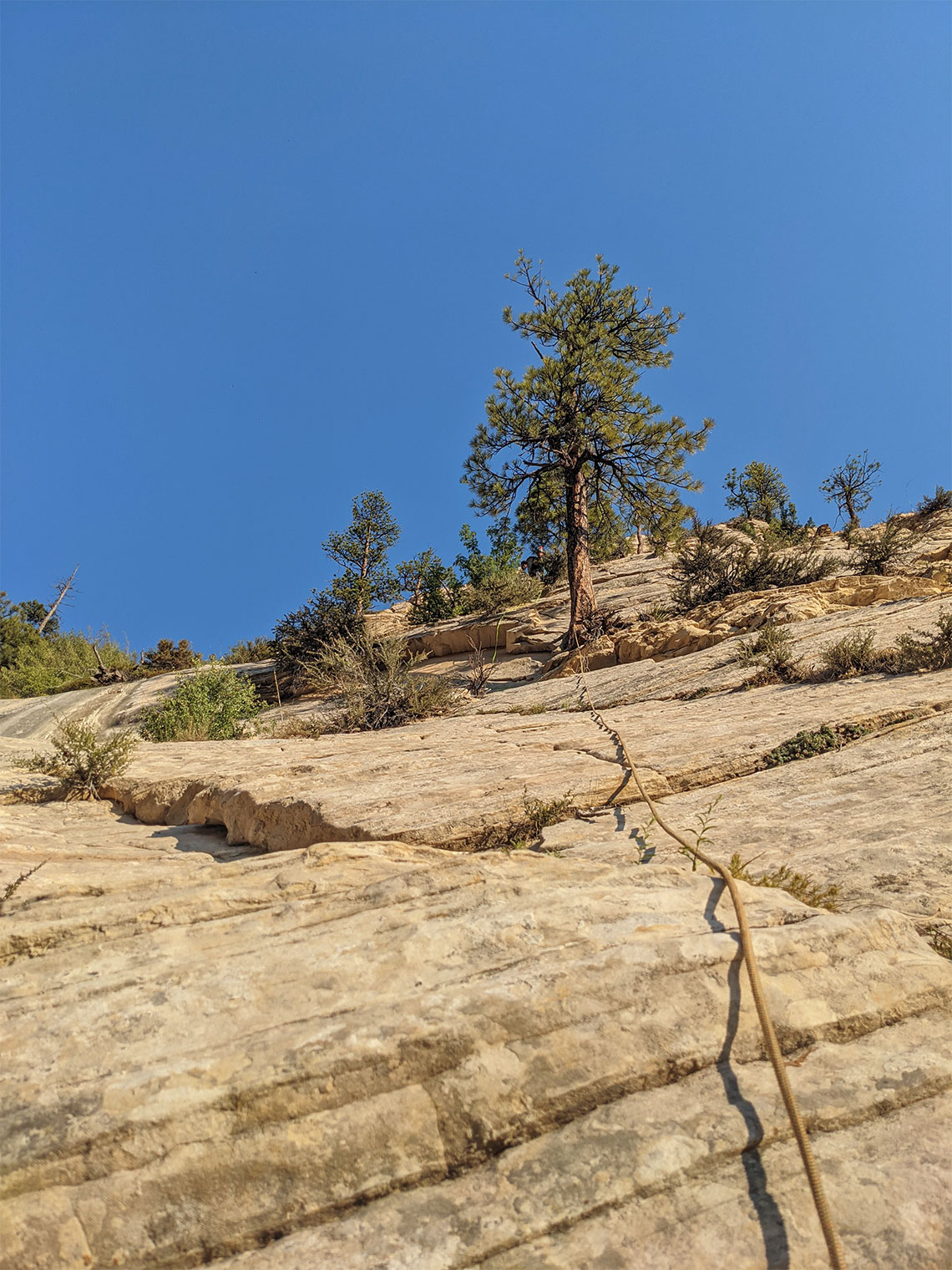 Looking up rappel 5 in the full Imlay Canyon