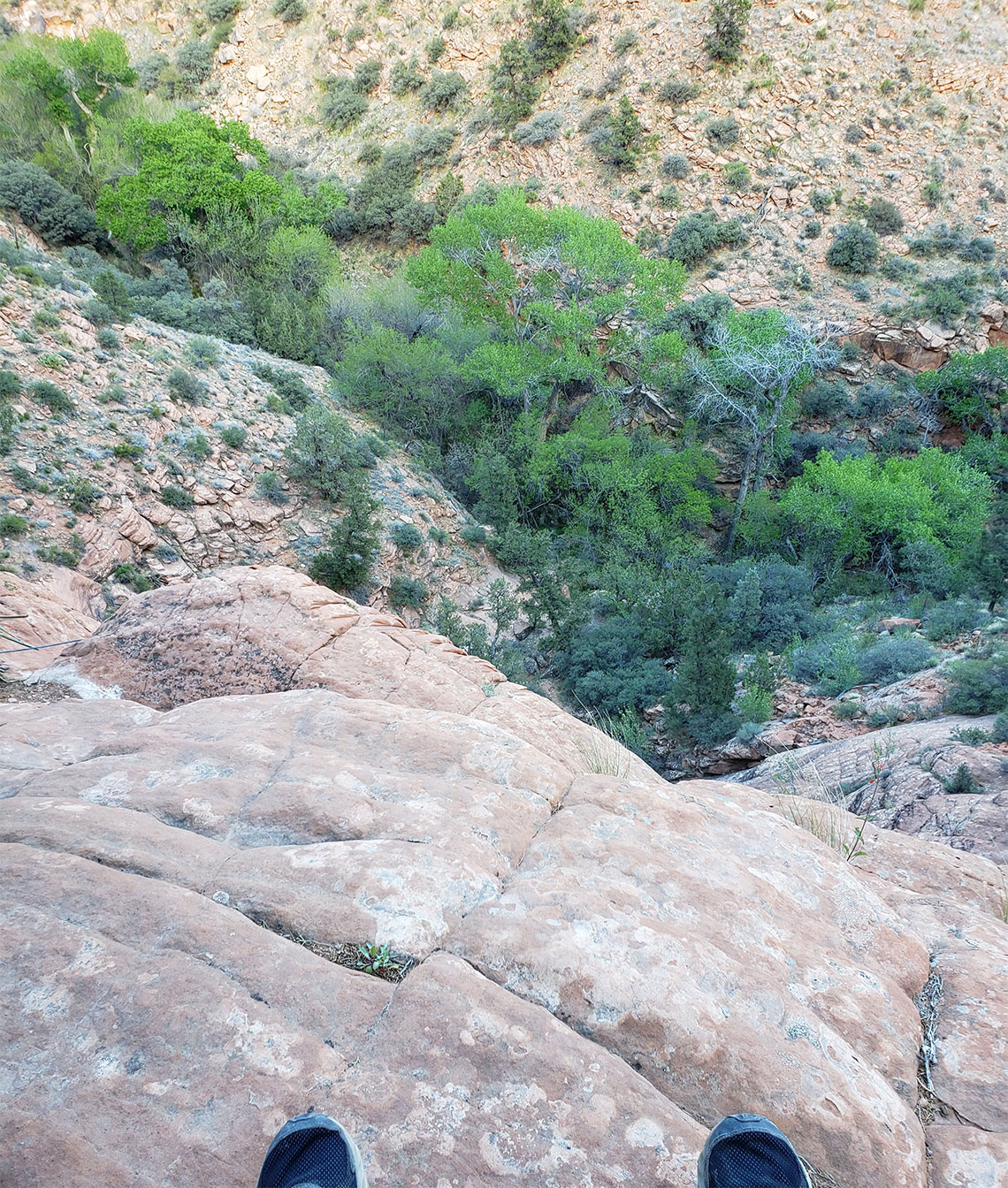 Looking over the edge of rappel 5 in Boltergeist Canyon