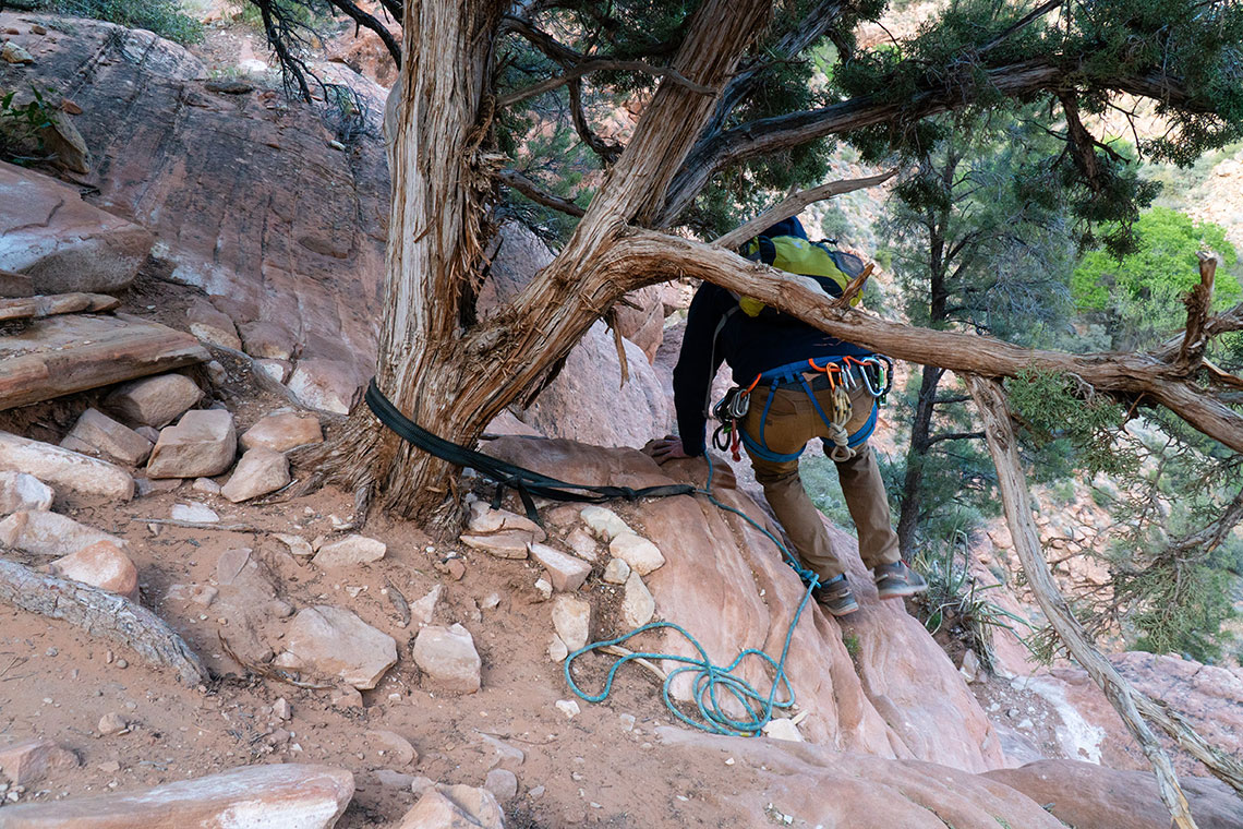 A bush anchor for rappel 5 in Boltergeist