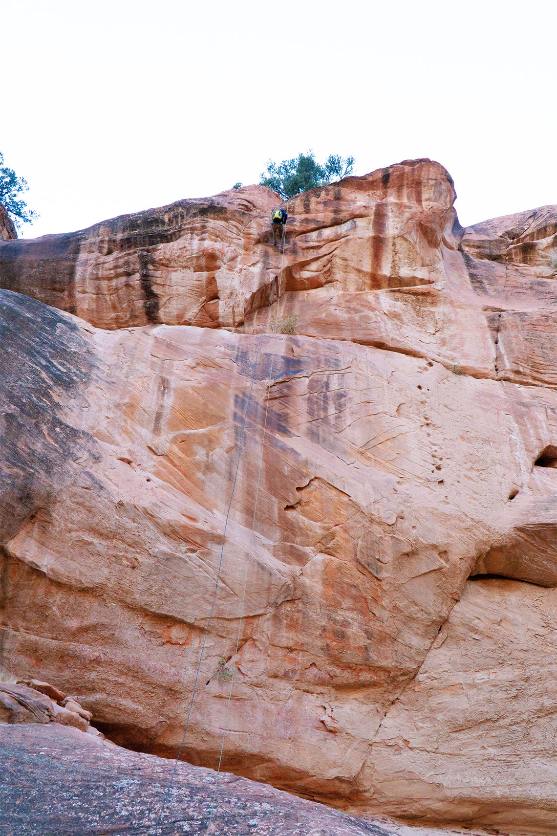 Looking up from the bottom of rappel 5 in Boltergeist Canyon