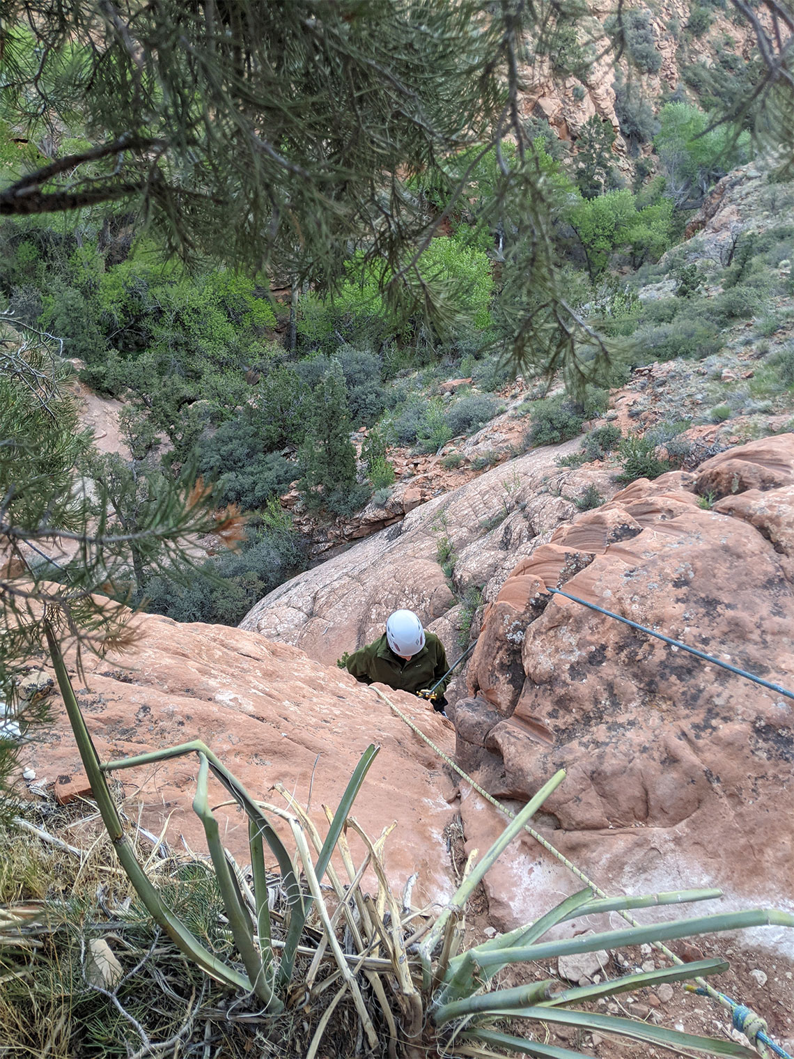 Going over the edge of rappel 5 in Boltergeist Canyon