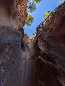 Rappelling in Birch Hollow