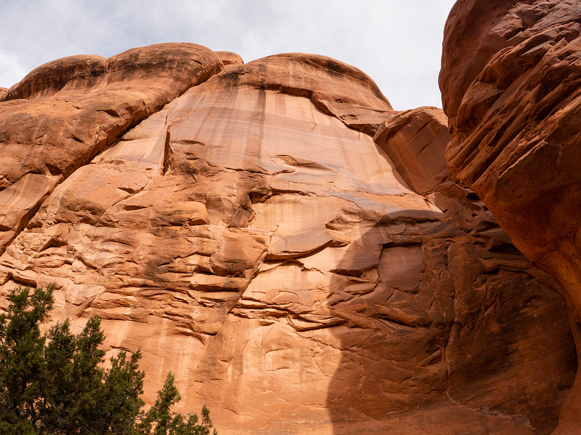 A view looking up from the bottom of rappel 1 in Elephant butte canyon